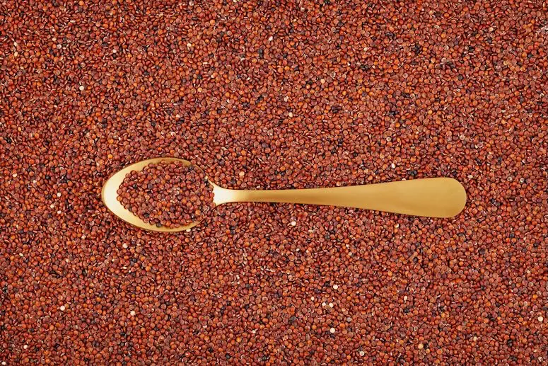 Nachni / Ragi – The Supergrain You Didn’t Know You Needed